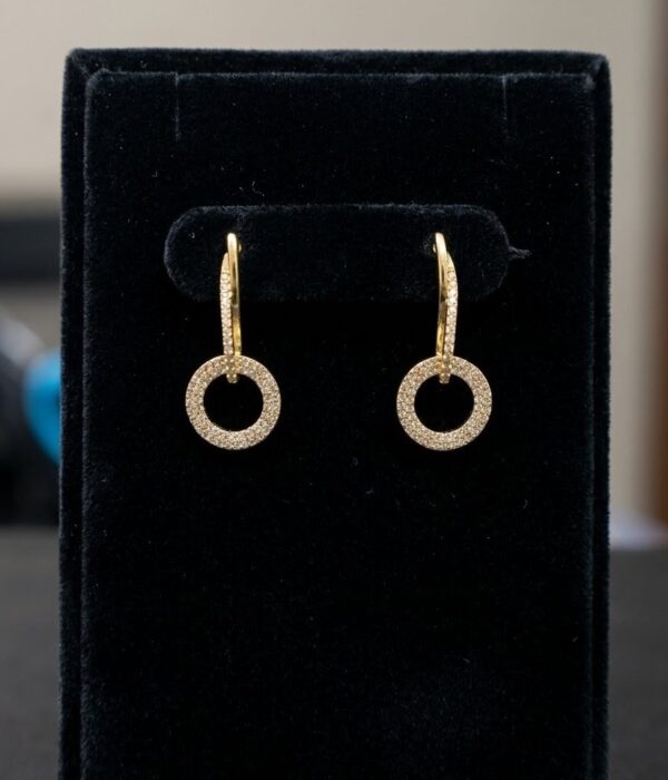 Halo Spark Drop Earrings
