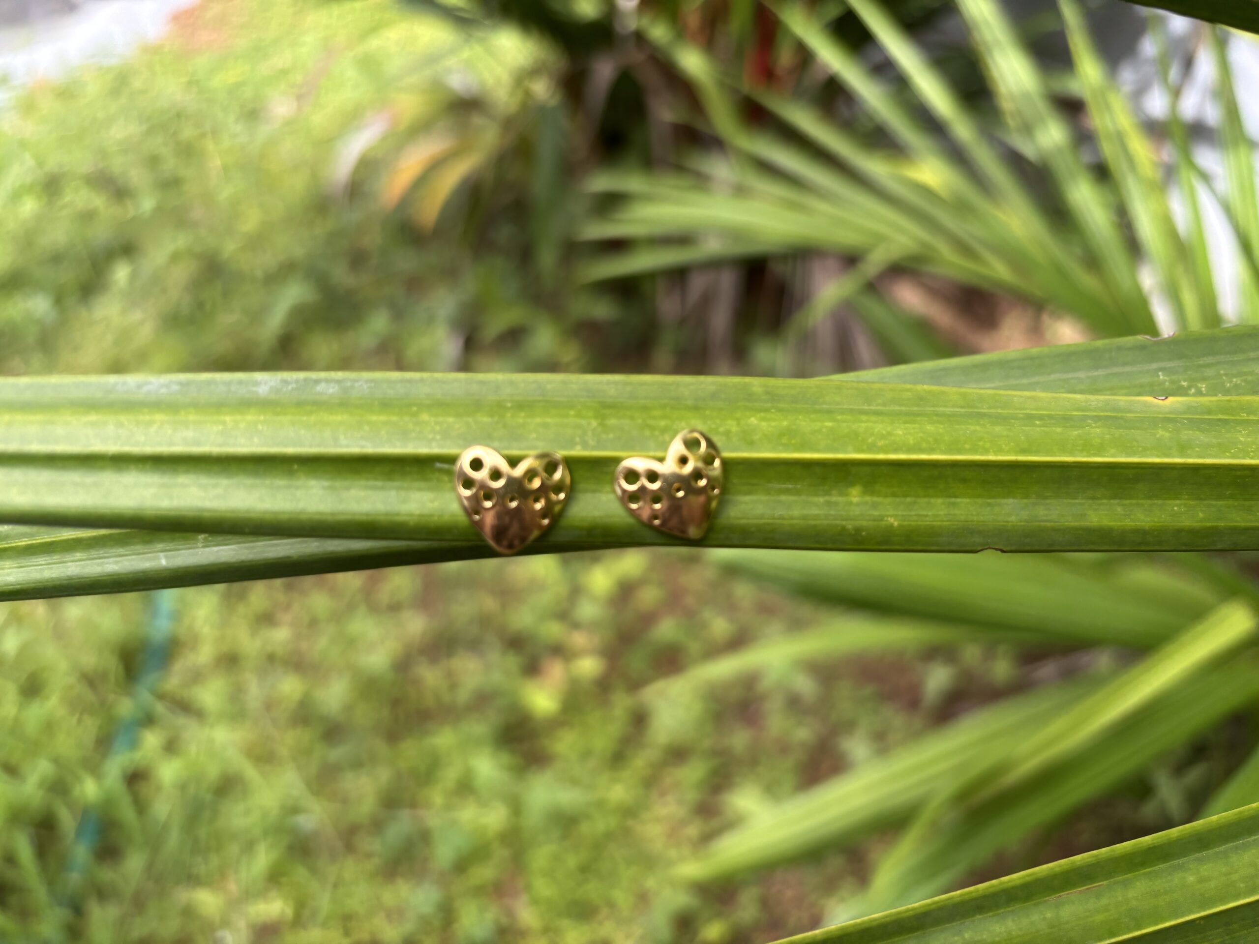 Amora Heart Studs