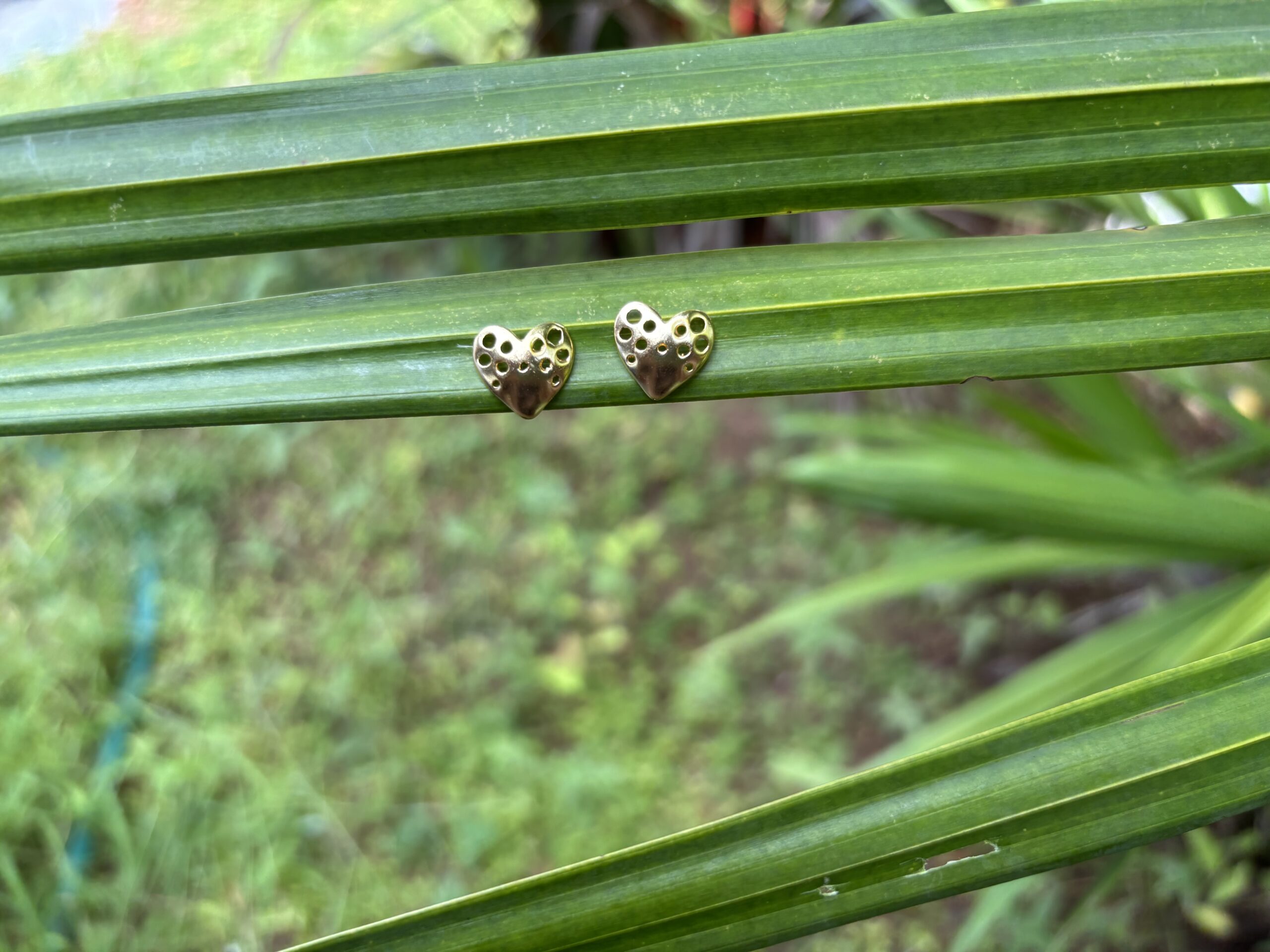 Amora Heart Studs