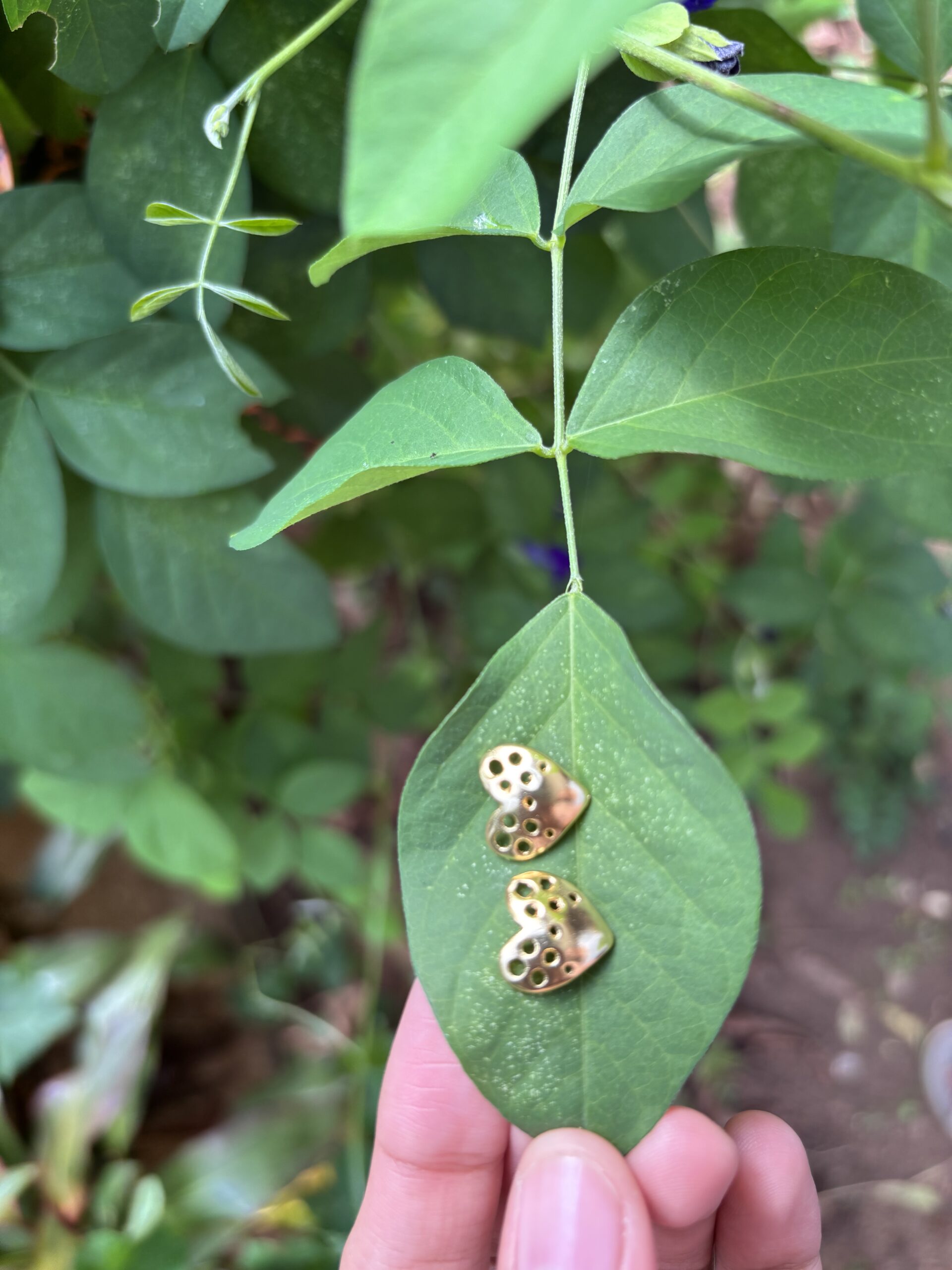 Amora Heart Studs
