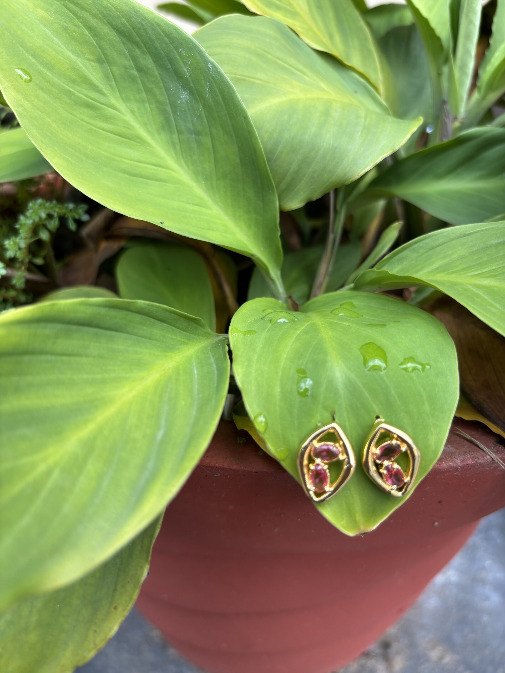 Golden Dual Eye Shaped Earring