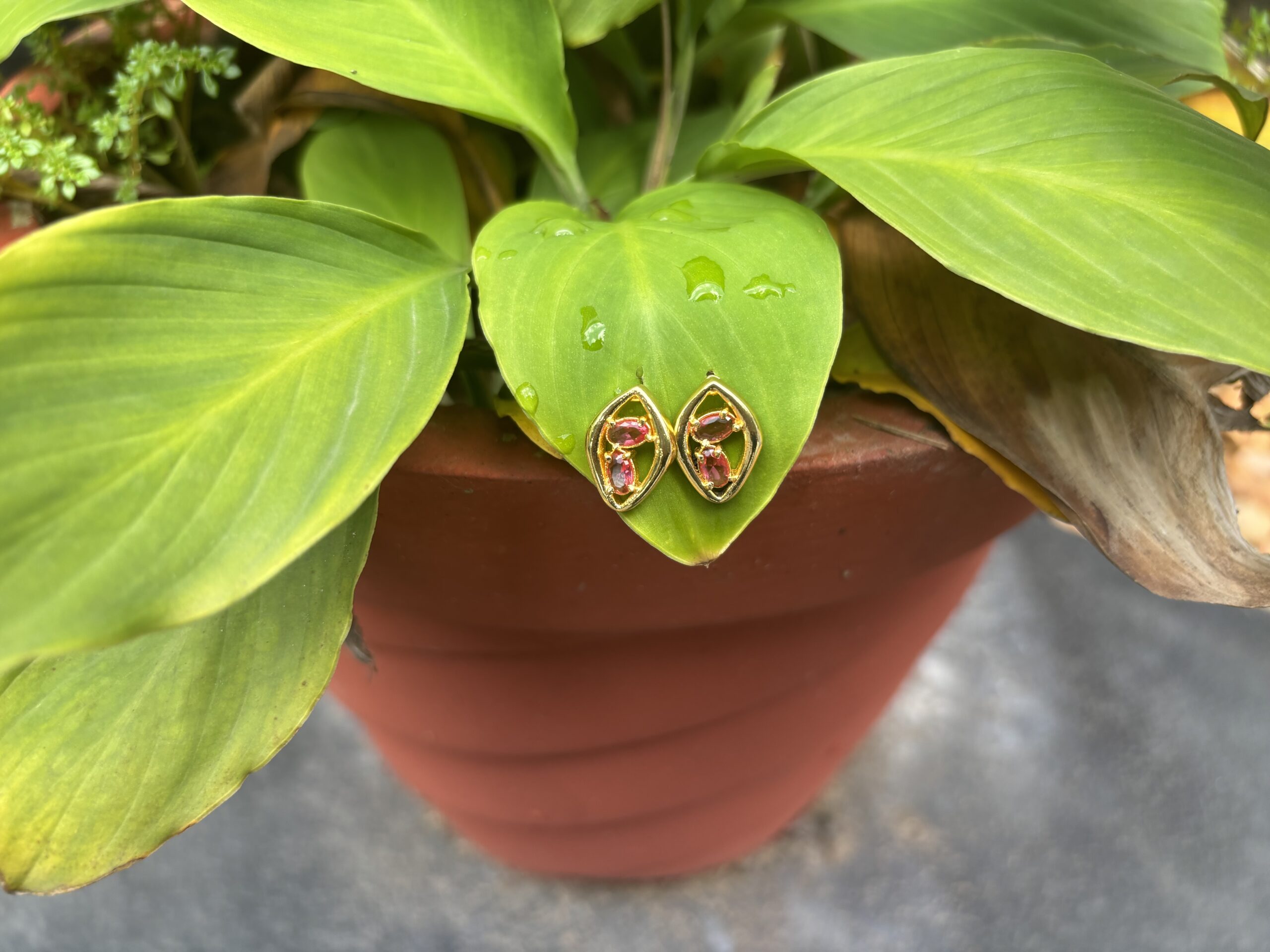 Golden Dual Eye Shaped Earring