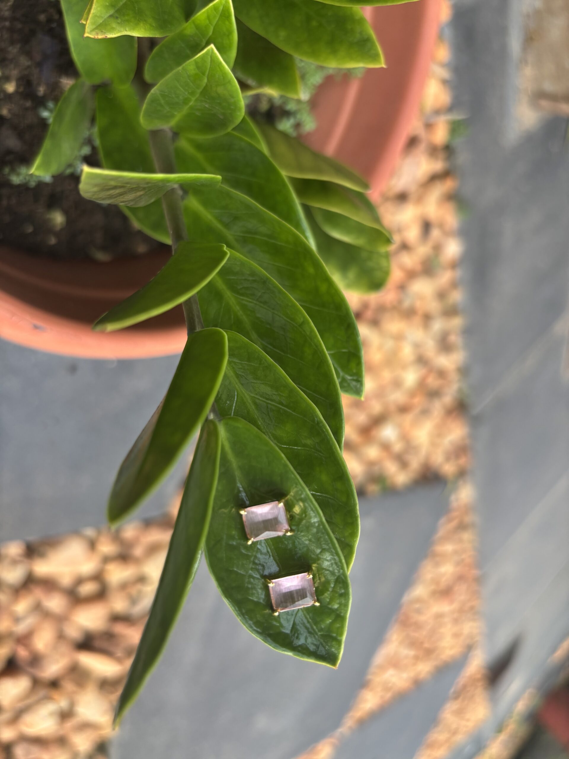 Prism Glow Studs