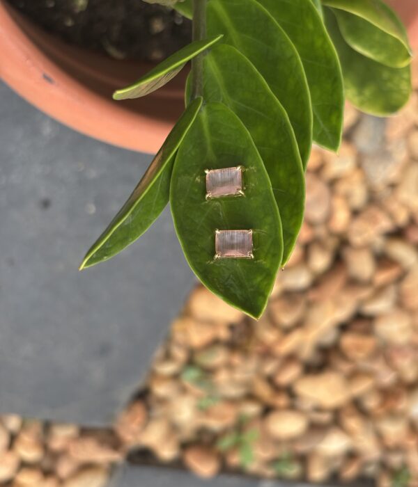 Prism Glow Studs