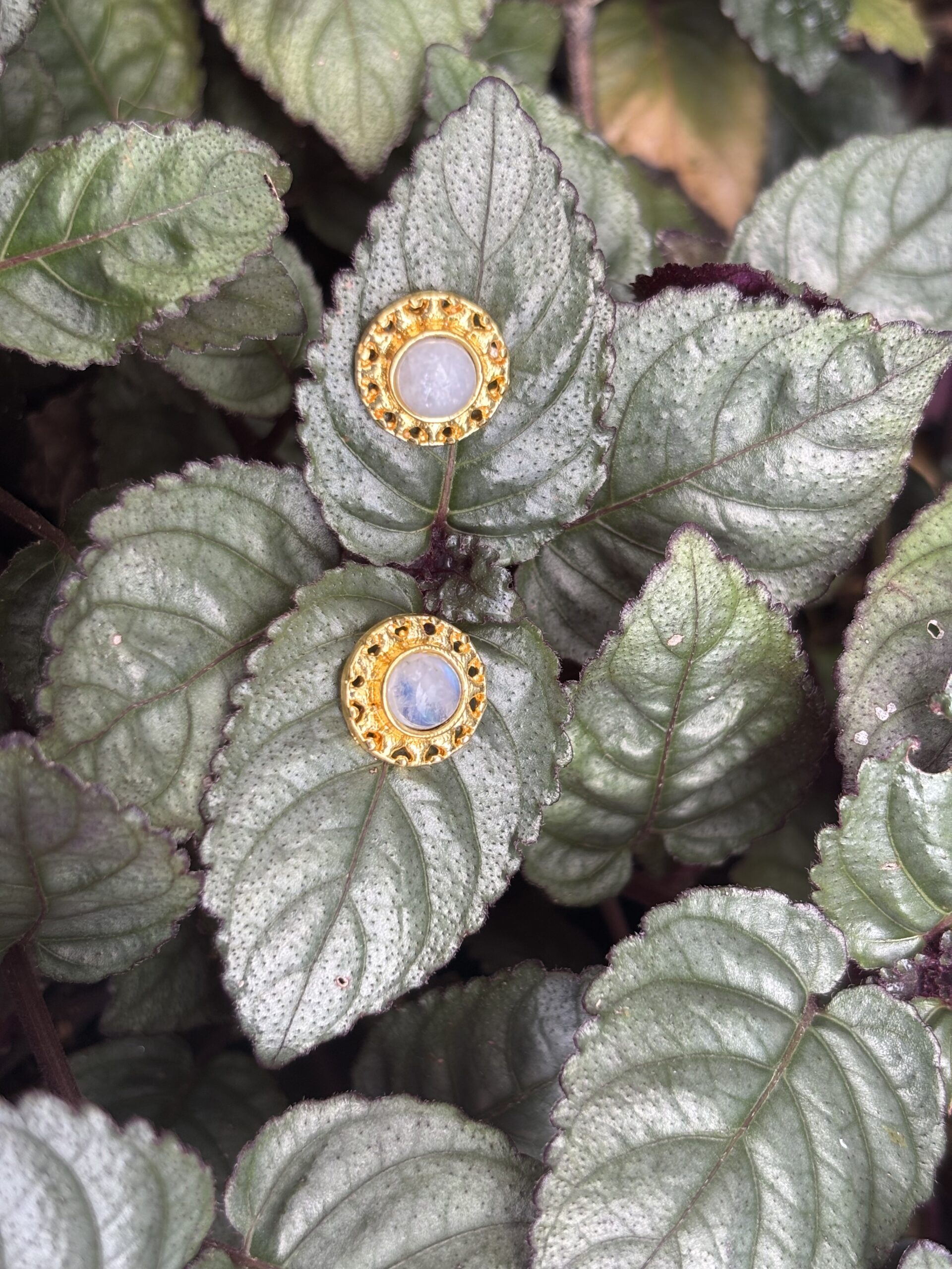 Krithika Golden Circle Raw Stone Stud