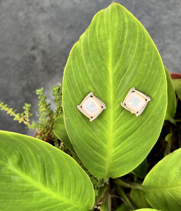 Aaradhya Studs