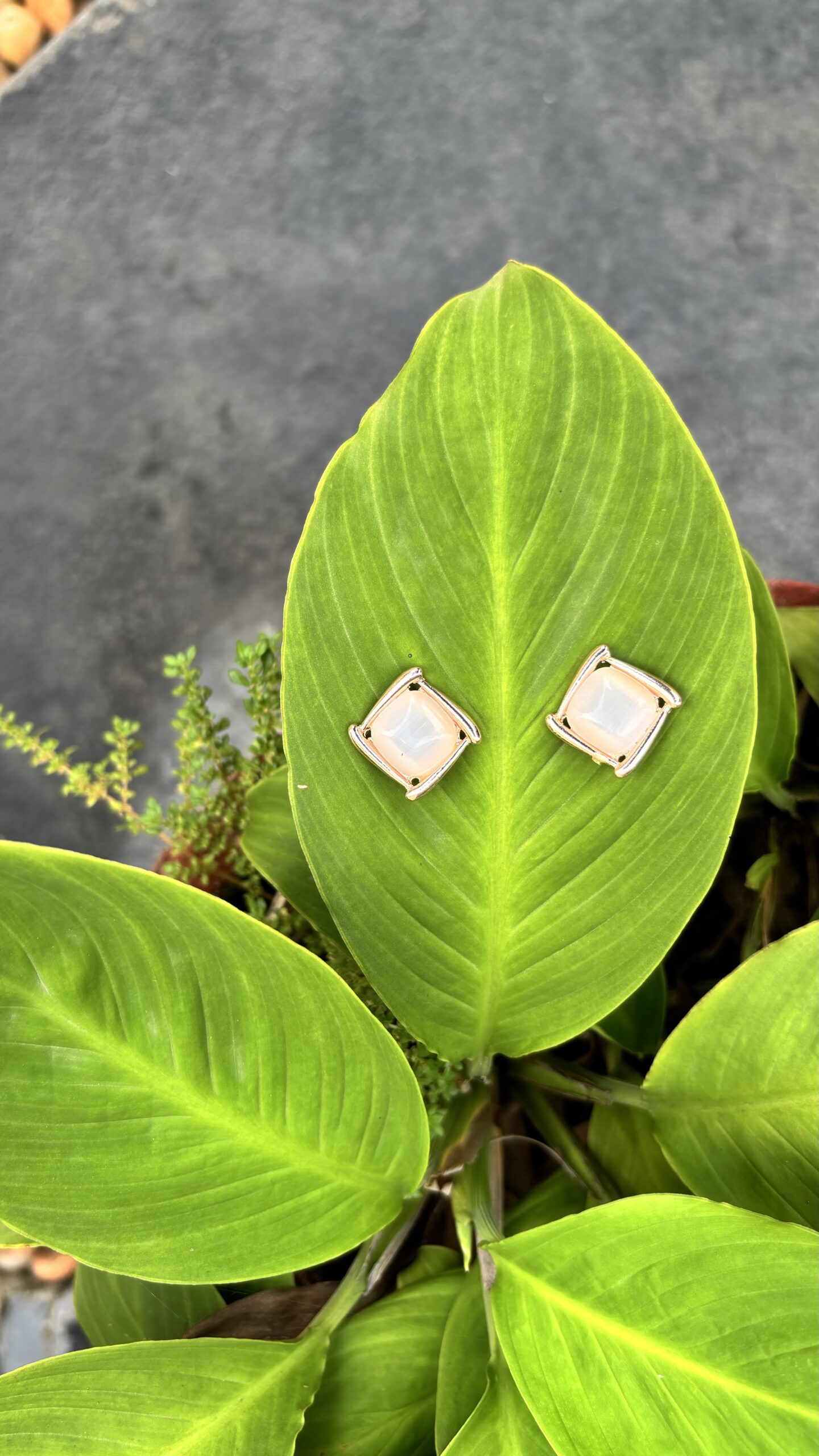 Aaradhya Studs